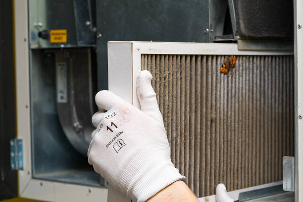 Best Professional Duct Cleaning Services  in Bloomington, IL